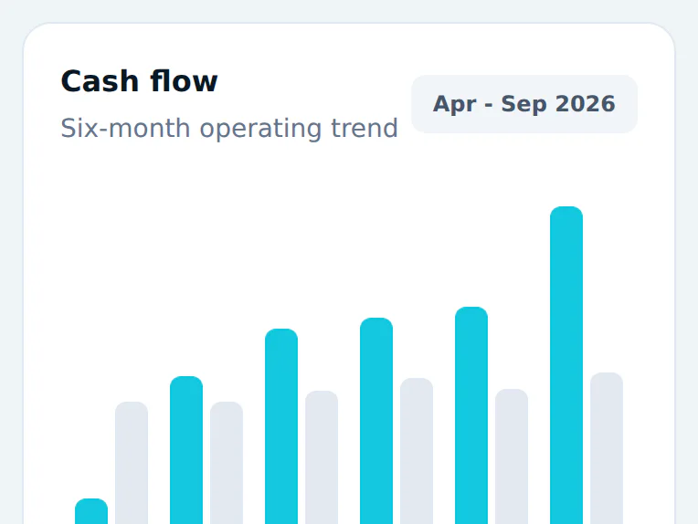 Six months of cash flow: Aurum overview screen, sample data